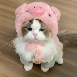 可愛い猫犬　ワンチャン　ニャーチャン　ペット用　豚帽子 8枚目の画像