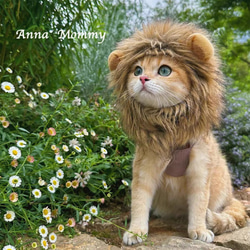 可愛い猫犬　ワンチャン　ニャーチャン　ペット用　獅子ライオン帽子 2枚目の画像