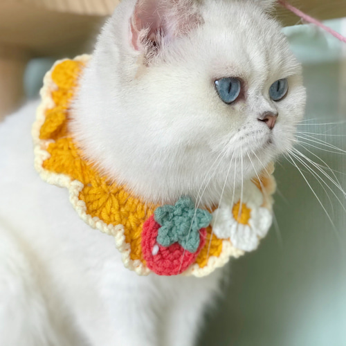 EMY's Gallery 猫襟 ワンちゃん襟 首輪 カギ編み 犬襟 つけ襟