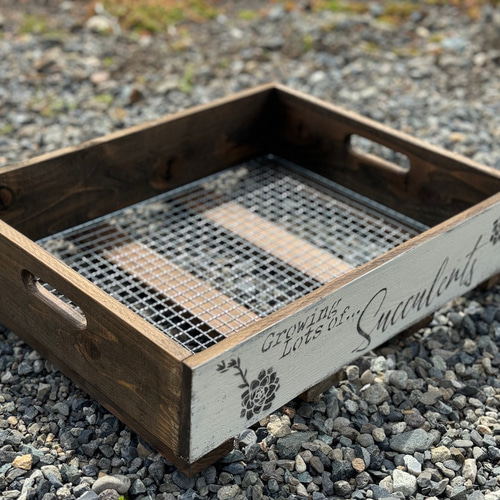 2箱セットA 多肉棚 鉢置き ウッドプランター トレー 苗 多肉植物