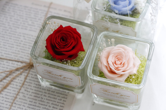 【cube 】迷你玻璃立方玫瑰  永生花 不凋花 情人節 生日禮物  母親節 教師 第7張的照片