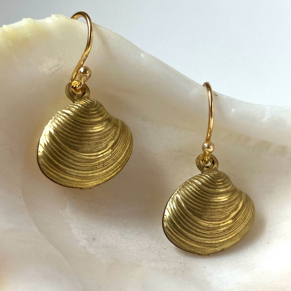 真鍮の貝殻 ピアス/真鍮無垢/ソリッドブラス ピアス（フック・チェーン  