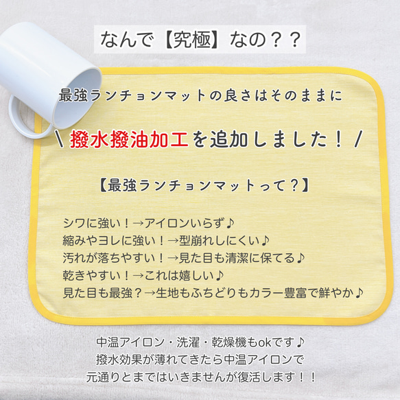 【究極！】水も汚れも弾くランチョンマット＊撥水ランチョンマット 6枚目の画像