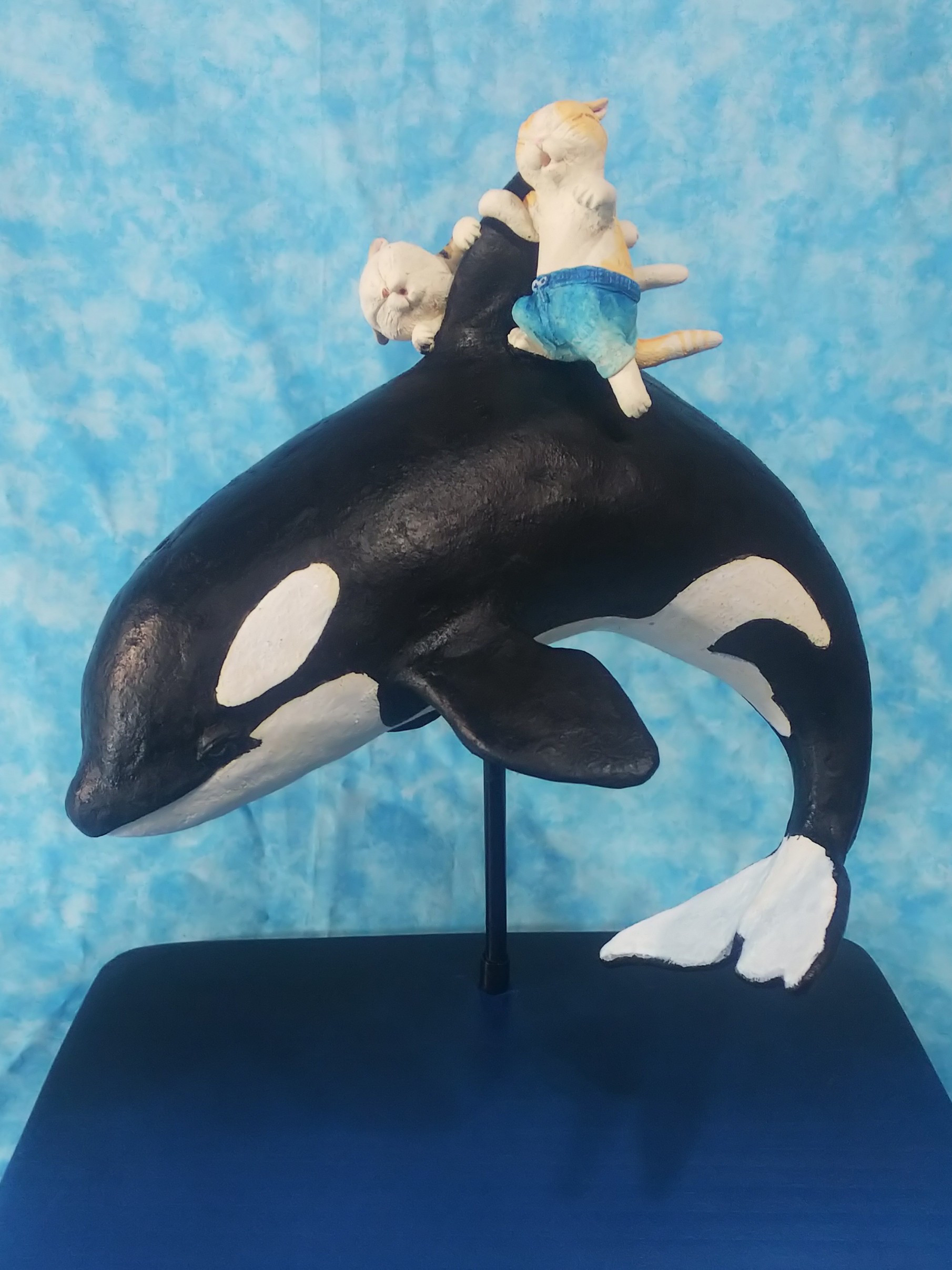 オルカに乗った少ニャン