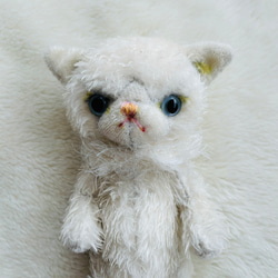 猫ピエロです。 ぬいぐるみ menino itang！メニノイタンジ 通販