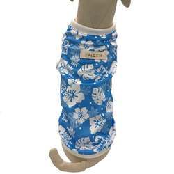 メッシュ 接触冷感 クール 犬服 夏 ブルー タンクトップ スカート イタグレ コーギー フレブル ダックス  夏服 服 12枚目の画像