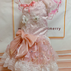 気まぐれシリーズ♡王道なピンク！お花見ドレス 3枚目の画像