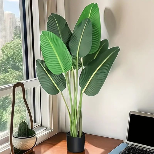観葉植物 インテリア 空間デザイン ディスプレイ グリーン おしゃれ 観葉植物 インテリア 空間デザイン ディスプレイ グリーン