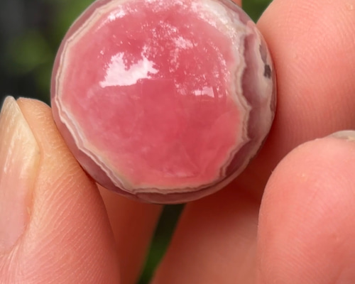 ビッグサイズ❣️天然石ローズクォーツの貝殻　スフィア付きません　NO.102007 ビッグサイズ❣️天然石ローズクォーツの貝殻 スフィア付きません NO