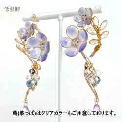 色が変わるネモフィラのピアス/イヤリング ٭❀* 揺れる大人可愛い 華やか 大ぶり 透明感　春コーデ 10枚目の画像