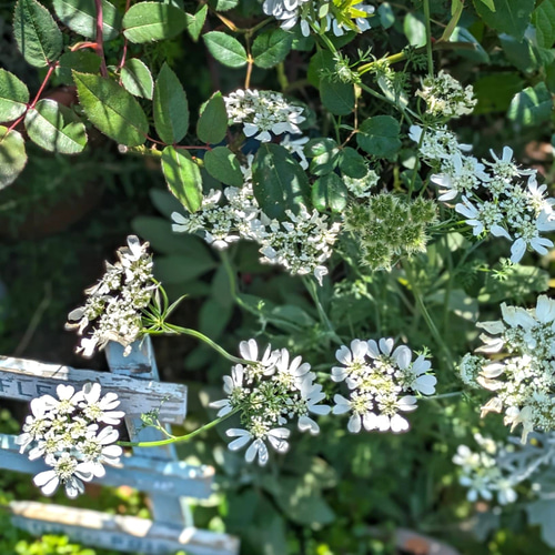 9☆厳選NEW☆4096 Hz音叉【クリスタル☆ローズクォーツ