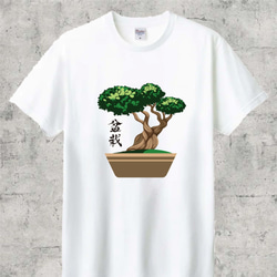 盆栽　半袖Tシャツ 1枚目の画像
