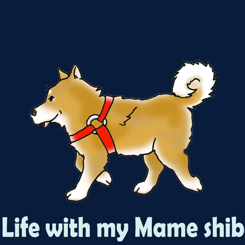 オーダーメイド 豆しば トートバッグ 散歩/オリジナル/ワン