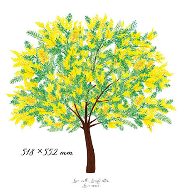 ミモザの木 (mimosa/水彩)　ウォールステッカー 〈耐水性有り・強力再剥離両面テープ使用〉 7枚目の画像