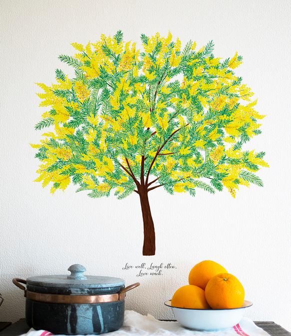 ミモザの木 (mimosa/水彩)　ウォールステッカー 〈耐水性有り・強力再剥離両面テープ使用〉 2枚目の画像