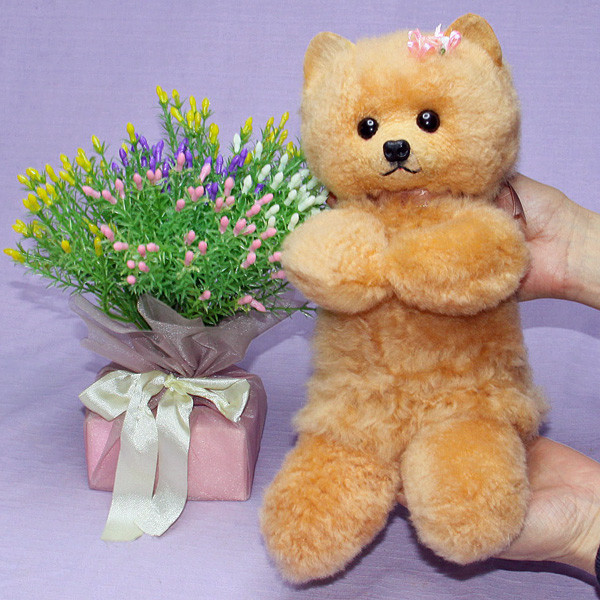 抱き型ポメラニアン