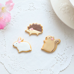 【ブローチ／ピンバッジ】桜のリスさんのアイシングクッキー 3枚目の画像