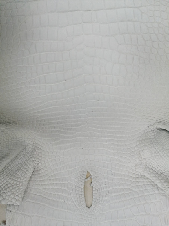 ワニ革 横34cm ナイル クロコダイル 天然素材 レザークラフト手細工 財布 バッグ用 ハンドメイド 手作り 5枚目の画像