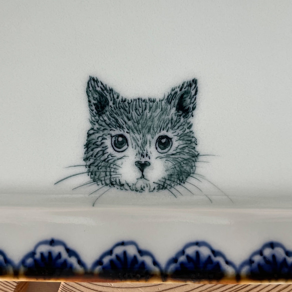 square plate.   Blue-Blue  cat 8枚目の画像