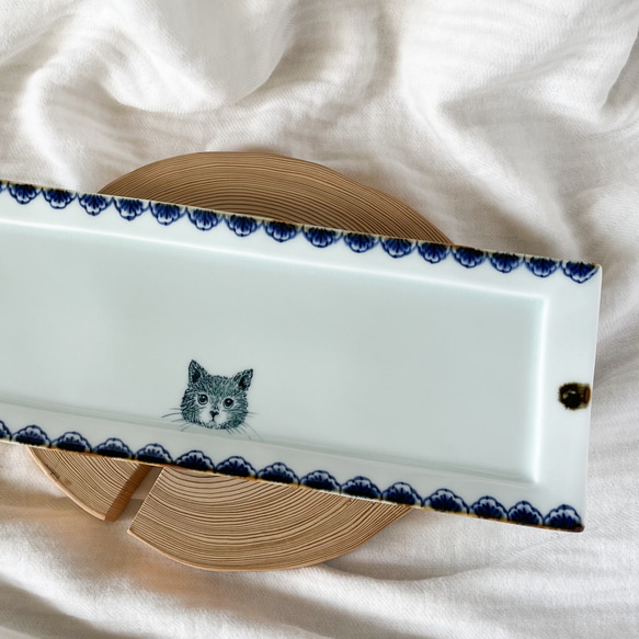 square plate.   Blue-Blue  cat 4枚目の画像