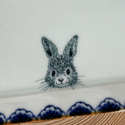 square plate.   Blue-Blue  rabbit 8枚目の画像
