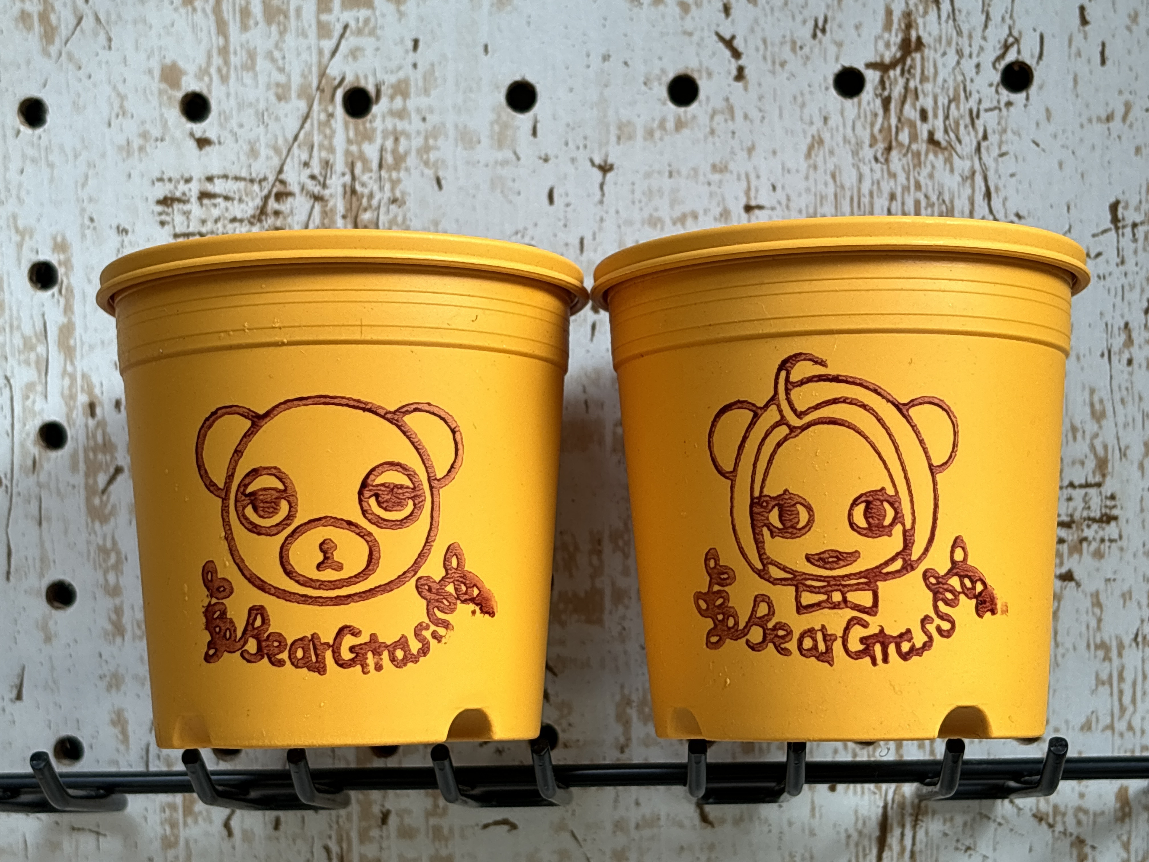 専用　リメイク鉢　お花