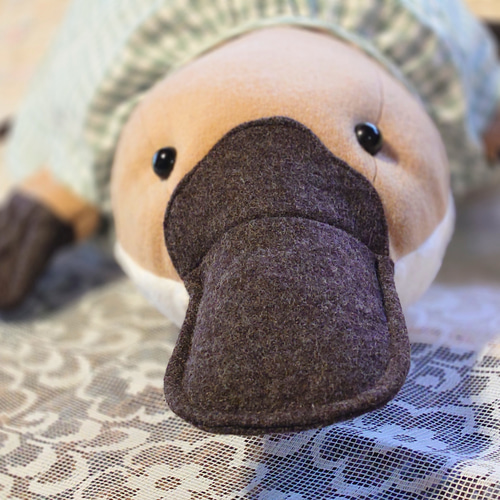 オーダー品 大きめ 動物 ぬいぐるみ かものはし カモノハシ 抱き
