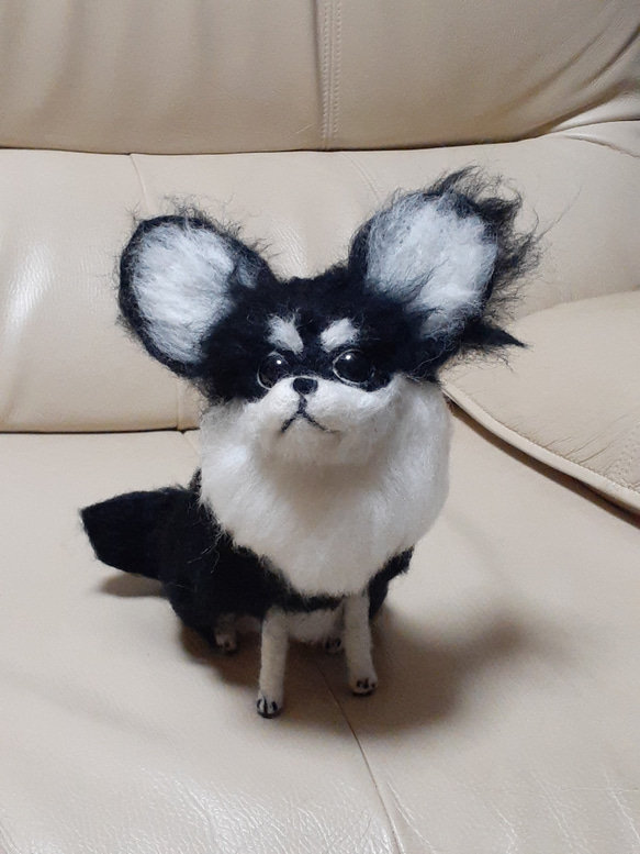 羊毛黒チワワ 羊毛フェルト Kingこうた 通販 17560529｜Creema