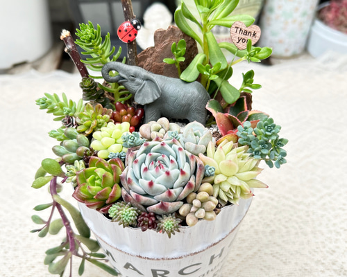 998fc184717fe95cde3e4af3286801