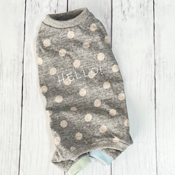 【オーダーページ】犬服　抹茶グリーン×チェック　袖無しor袖あり iDog マウンテンジャケット IDOG EXTRA SURE アイドッグ-犬猫ペット