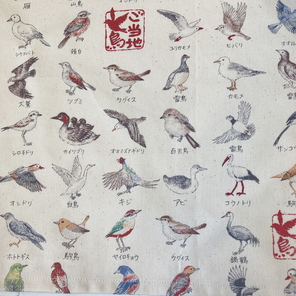 ランチョンマット　ランチマット　男の子　女の子　動物　　鳥　フクロウ　鳥図鑑 3枚目の画像