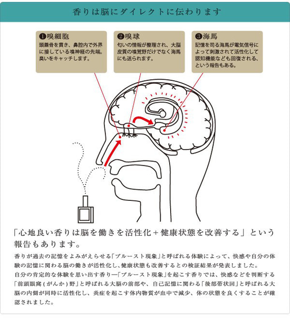 【予約】リアル&デザイン　フリージア　10mlor15ml　花アロマ香水　女性用香水　生花のファブリック・ミスト 13枚目の画像