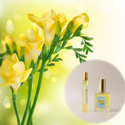 リアル&デザイン フリージア 10mlor15ml 生花の香りの再現 ミスト