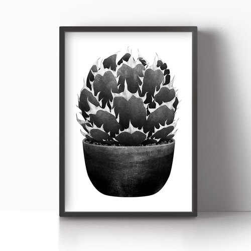 アート ポスター / Agave titanota mono おしゃれインテリア・北欧