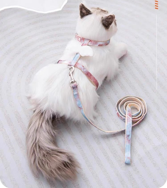 可愛い猫犬　ワンチャン　ニャーチャン　ペット用　天使翼ハーネス&リードセット 10枚目の画像