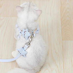 可愛い猫犬　ワンチャン　ニャーチャン　ペット用　海星ハーネス&リードセット 1枚目の画像