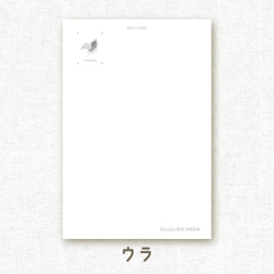 [選べるポストカード] No.6 ウミウシ 2枚目の画像
