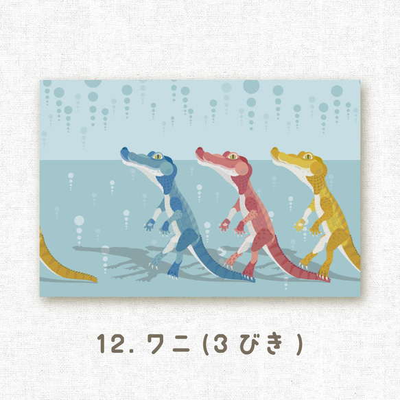[選べるポストカード] No.12 ワニ（3びき） 1枚目の画像