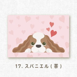 [選べるポストカード] No.17 スパニエル(茶) 1枚目の画像
