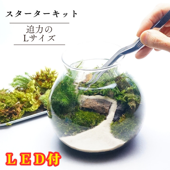 母の日 プレゼント【スターターキット】LEDライト付ボトルテラリウム　制作キット 16cm 苔セット 苔 ギフト 1枚目の画像