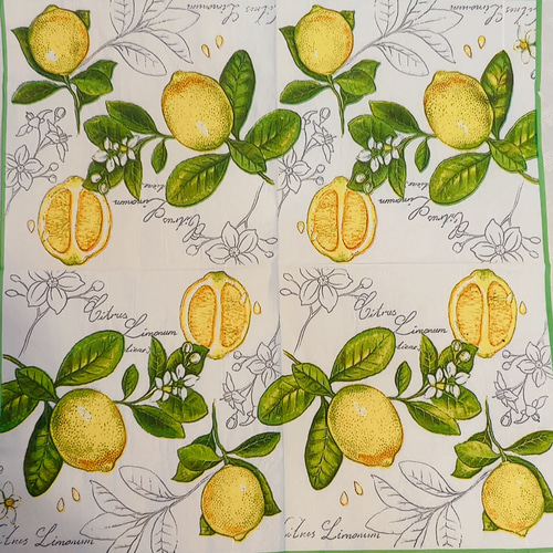 ペーパーナプキンセット デコパージュ B-4 その他素材 Satsuki 通販