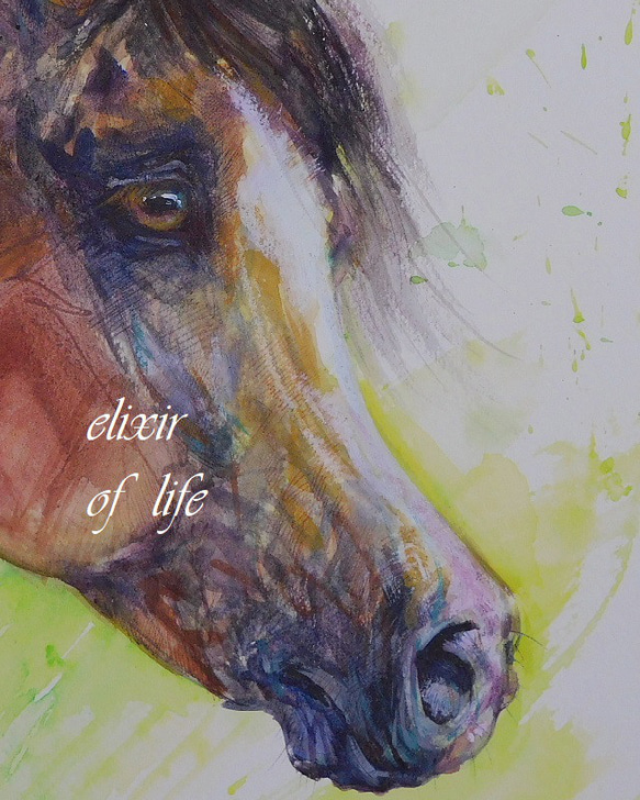 Arabian Horse 2024（高級水彩画用紙３２ｃｍ×４１，５ｃｍ、水彩、アクリル、パステル） 2枚目の画像