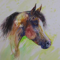 Arabian Horse 2024（高級水彩画用紙３２ｃｍ×４１，５ｃｍ、水彩、アクリル、パステル） 1枚目の画像