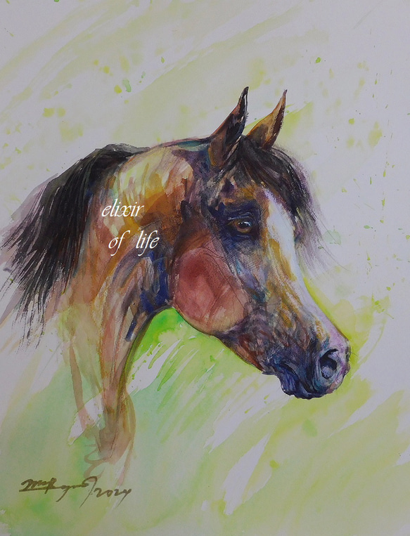 Arabian Horse 2024（高級水彩画用紙３２ｃｍ×４１，５ｃｍ、水彩、アクリル、パステル） 1枚目の画像