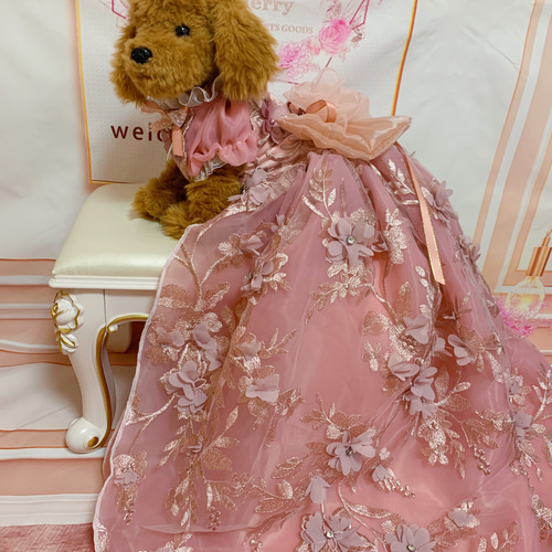 DOLK×nova-doll】Cat A-type Lala pink Ver. - 世界20体限定