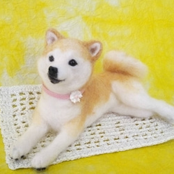 羊毛フェルト　くつろぐ柴ちゃん　柴犬 2枚目の画像