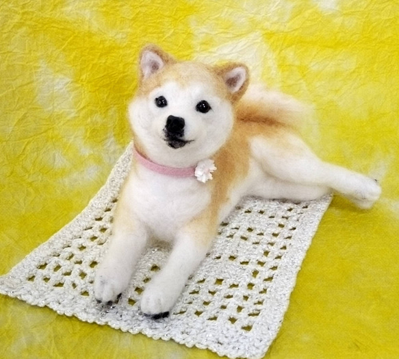 羊毛フェルト　くつろぐ柴ちゃん　柴犬 1枚目の画像