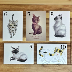 選べる猫のポストカード 3枚セット 3枚目の画像