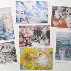 選べる猫のポストカード全19種類フルセット 2枚目の画像