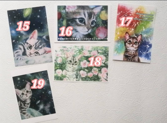 選べる猫のポストカード全19種類フルセット 7枚目の画像